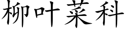 柳叶菜科 (楷体矢量字库)