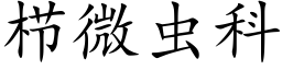 栉微蟲科 (楷體矢量字庫)