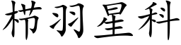 栉羽星科 (楷體矢量字庫)