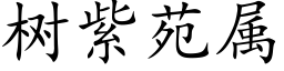 树紫苑属 (楷体矢量字库)