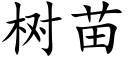 樹苗 (楷體矢量字庫)