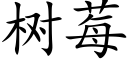 樹莓 (楷體矢量字庫)