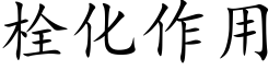 栓化作用 (楷體矢量字庫)