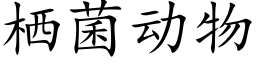 栖菌動物 (楷體矢量字庫)