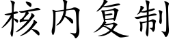 核内複制 (楷體矢量字庫)