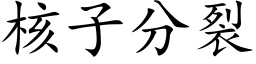 核子分裂 (楷體矢量字庫)