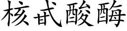 核甙酸酶 (楷体矢量字库)