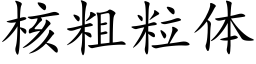 核粗粒体 (楷体矢量字库)