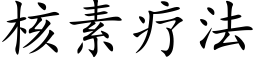 核素疗法 (楷体矢量字库)