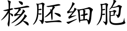 核胚細胞 (楷體矢量字庫)