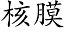 核膜 (楷體矢量字庫)