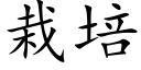 栽培 (楷体矢量字库)