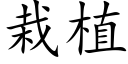 栽植 (楷体矢量字库)