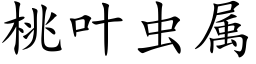 桃叶虫属 (楷体矢量字库)