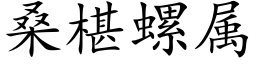 桑椹螺屬 (楷體矢量字庫)