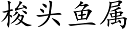 梭头鱼属 (楷体矢量字库)