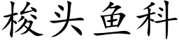 梭头鱼科 (楷体矢量字库)