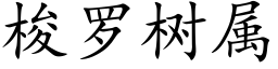 梭罗树属 (楷体矢量字库)