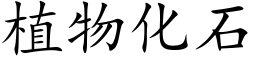 植物化石 (楷体矢量字库)