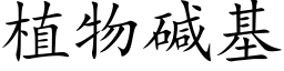 植物碱基 (楷体矢量字库)