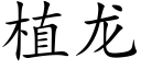 植龙 (楷体矢量字库)