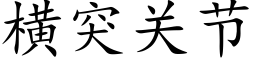 橫突關節 (楷體矢量字庫)