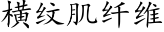 横纹肌纤维 (楷体矢量字库)