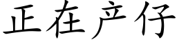 正在产仔 (楷体矢量字库)