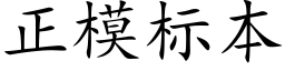 正模标本 (楷体矢量字库)