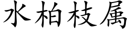 水柏枝属 (楷体矢量字库)