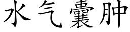 水氣囊腫 (楷體矢量字庫)