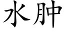 水腫 (楷體矢量字庫)