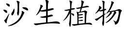 沙生植物 (楷体矢量字库)