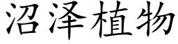 沼泽植物 (楷体矢量字库)