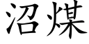 沼煤 (楷体矢量字库)