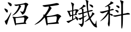 沼石蛾科 (楷體矢量字庫)