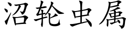 沼轮虫属 (楷体矢量字库)