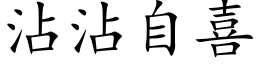 沾沾自喜 (楷体矢量字库)