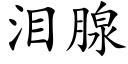 淚腺 (楷體矢量字庫)