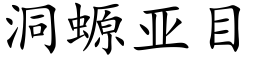 洞螈亞目 (楷體矢量字庫)