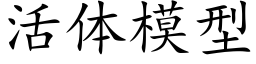 活体模型 (楷体矢量字库)