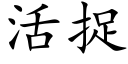 活捉 (楷体矢量字库)