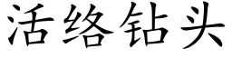 活络钻头 (楷体矢量字库)