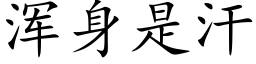 浑身是汗 (楷体矢量字库)