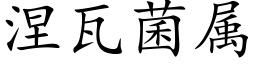 涅瓦菌属 (楷体矢量字库)