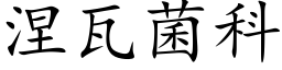 涅瓦菌科 (楷體矢量字庫)