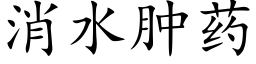 消水肿药 (楷体矢量字库)