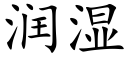 润湿 (楷体矢量字库)