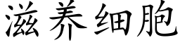 滋养细胞 (楷体矢量字库)