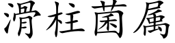 滑柱菌属 (楷体矢量字库)